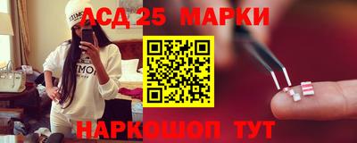 гашик Моздок