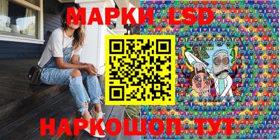 гашик Моздок