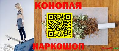 гашик Моздок