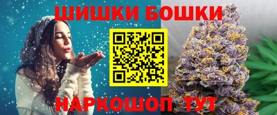 гашик Моздок