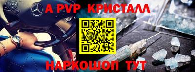 гашик Моздок