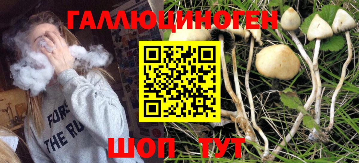Гашиш  Гашиш  Марихуана  Кокаин  АМФ   Тихорецк  Вход с VPN  Мефедрон кристаллы  Alpha-PVP СК  