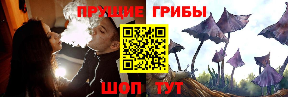 Тихорецк  Псилоцибиновые грибы Cubensis  закладки  Вход с VPN 